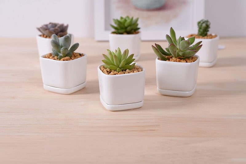 SeaStar Ceramic Succulent Mini Planter Pot,Mini 6 Set 2x1.65x2inch Square Modern Minimalist White/Window Box with Saucer for Office,Desk,House Balcony Landscape - Image 2